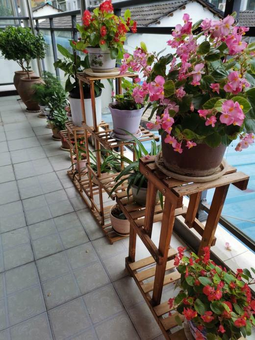 最美阳台 商品图0