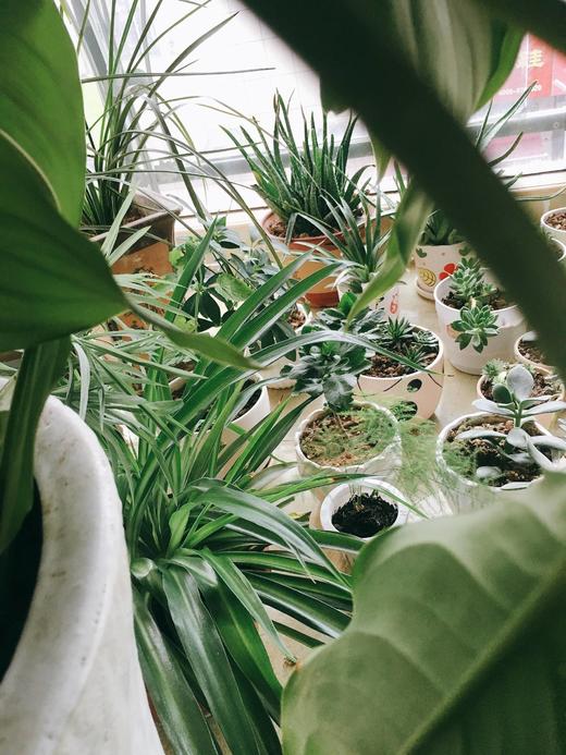 午后小时光 商品图0