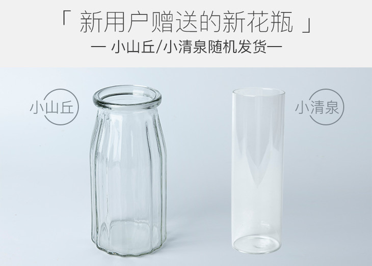 自然包全区是自然的什么和活的什么