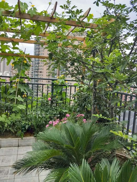 美丽平常 商品图0