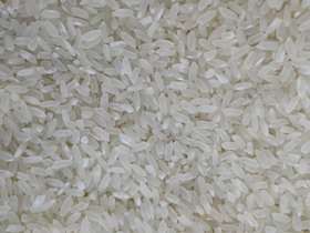 五常有机稻花香米