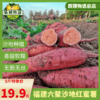 六鳌蜜薯5斤福建沙地种植红心番薯产地现挖现发包邮 商品缩略图1