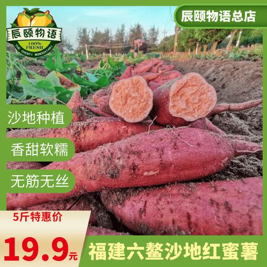 六鳌蜜薯5斤福建沙地种植红心番薯产地现挖现发包邮 商品图1