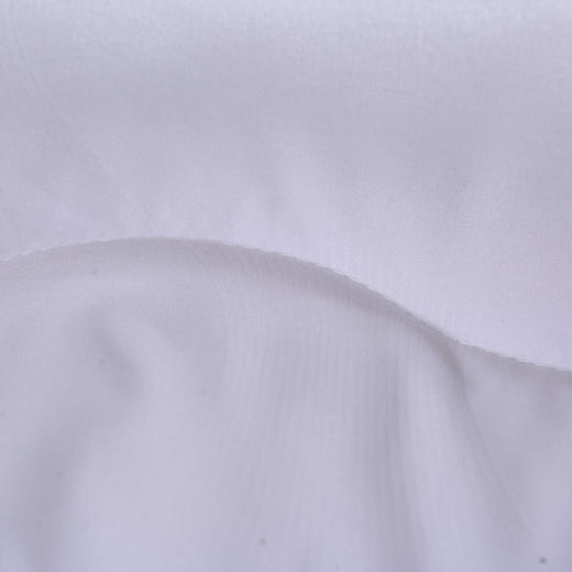 水星家纺日用杜桑羽丝绒被200*230cm 1000g 商品图3