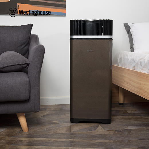 西屋 空气净化器AW-6600T 商品图3