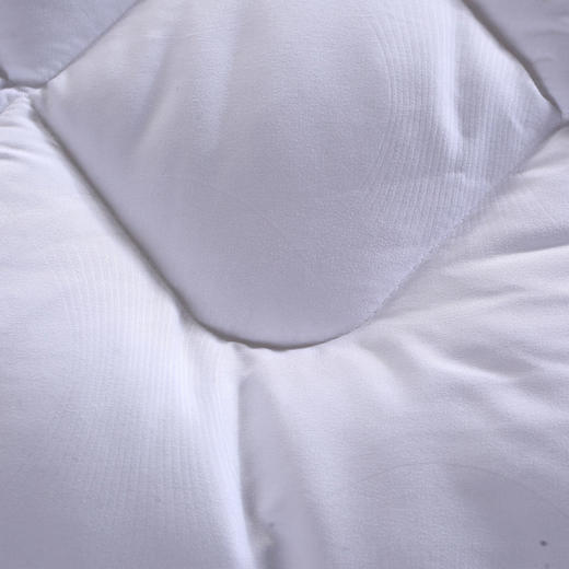 水星家纺日用杜桑羽丝绒被200*230cm 1000g 商品图1