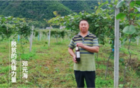  消费扶贫月 | 他们把神农架的猕猴桃酿成了醋和酒 