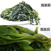 海带嫩苗3斤装500gx3袋霞浦特产盐渍海带苗产地直发新鲜 商品缩略图2