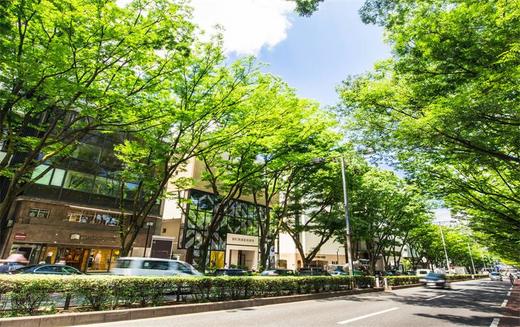 日本东京购物打卡圣地二 商品图1