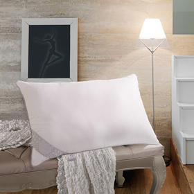 水星家纺沁新净醛抗菌枕47cm*73cm 800g