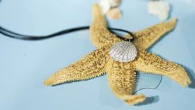 【海上相遇】银粘土贝壳吊坠工具套装（含7克纯银粘土）