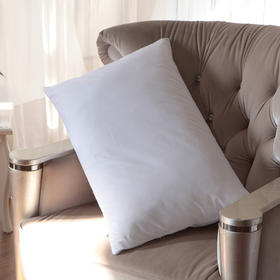 水星家纺安睡羽丝绒枕