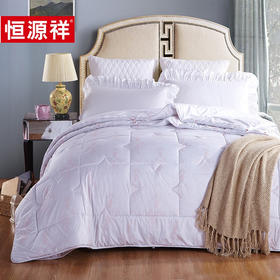 恒源祥TGB2031馨雅子母被