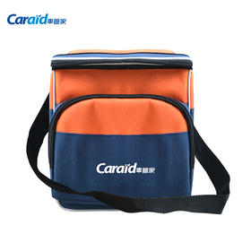 车管家 车载冰箱12L制冷加热迷你小冰箱12V冷藏箱宿舍办公室家用车用冷暖箱便携式冰箱GJ-DC12 12L橙色-仅车用（12V）