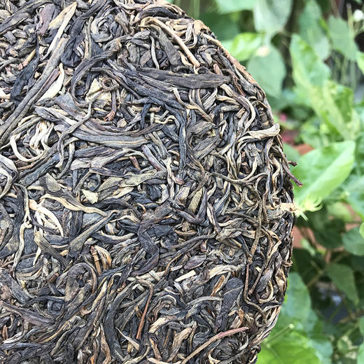 2017年曼林古树茶 357g