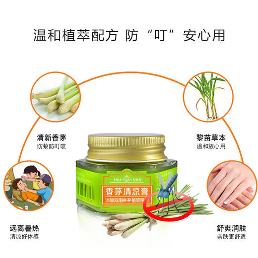 美亚健康 香茅清凉膏 成人儿童 清凉润肤膏 防蚊 户外 清爽 20g (海南分院) 商品图3