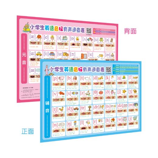 小学生英语音标有声速查表 商品图0