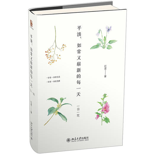 《平淡、如常又崭新的每》定价：79.00元 作者：红茶 著 商品图0