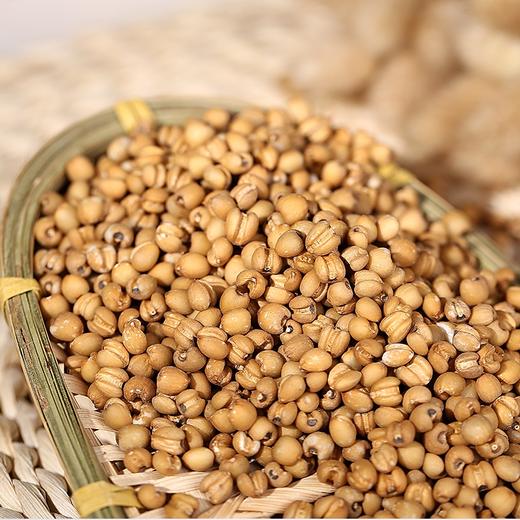 贵州小粒糯黄薏仁米 无硫熏 无添加 生态粗粮 商品图4