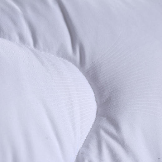 水星家纺日用杜桑羽丝绒被200*230cm 1000g 商品图4