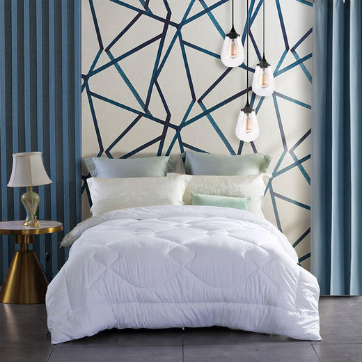 水星家纺日用杜桑羽丝绒被200*230cm 1000g 商品图0