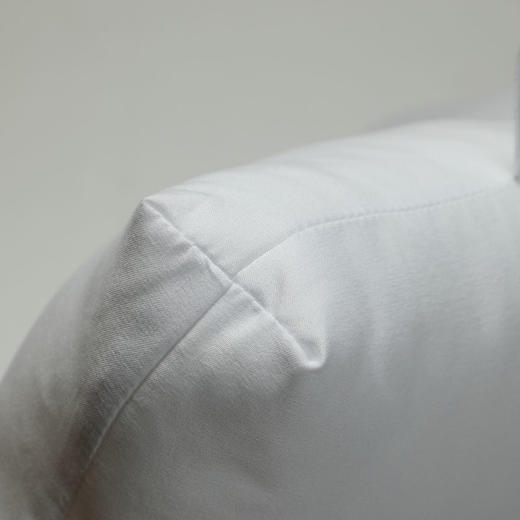 水星家纺人体工学枕芯48*74cm 650g 商品图1