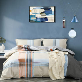 水星家纺  DH全棉印花四件套  奈罗 1.5M(5英尺)床