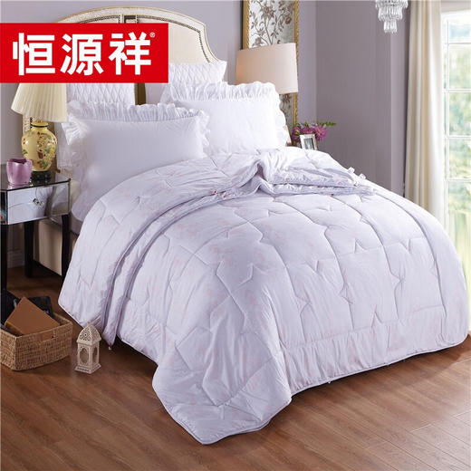 恒源祥TGB2031馨雅子母被 商品图1
