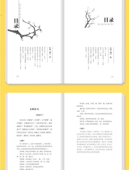 致成长的你全4册古诗词古文散文诗歌小学生课外阅读书籍课外读物 商品图3