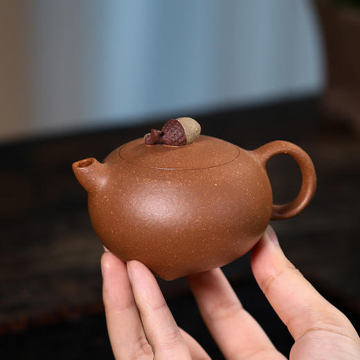 橡子 (段泥) 商品图2