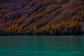 北疆“大好河山可骑驴“之旅 | 7天6晚