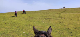 新疆天山“停云四章”马背旅行 6天 |