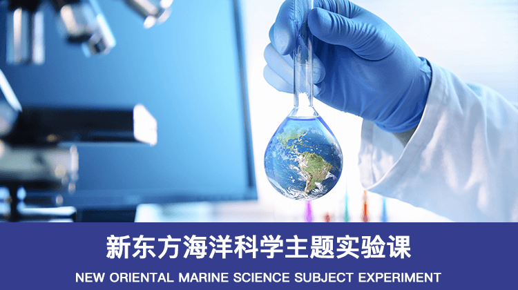 新东方海洋科学主题实验课