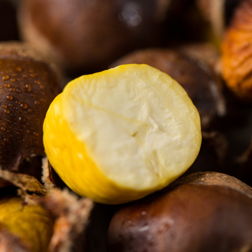 【山东 泰山板栗】栗仁饱满 软糯甜香 自然树熟