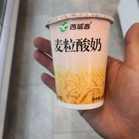 麦粒酸奶
