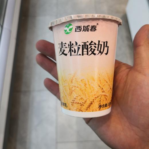 麦粒酸奶 商品图0