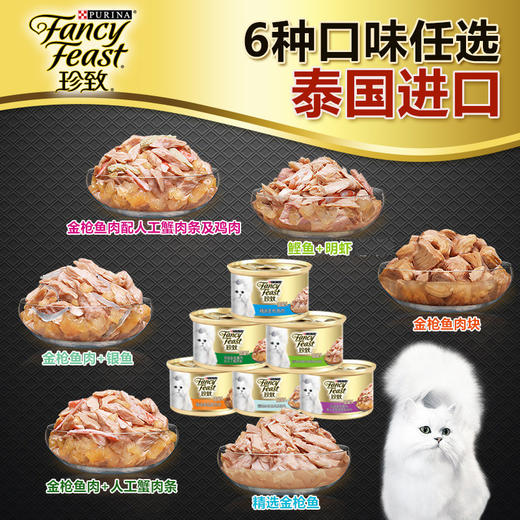 珍致进口白肉猫罐头24罐 商品图3