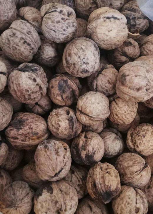 云南纸皮核桃 商品图0