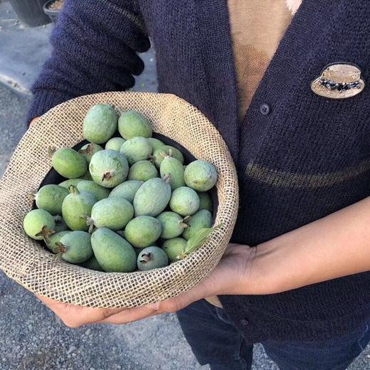 【漫乐集】原创刺绣小帽子材料包 商品图1