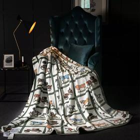 喜芙妮（SOFTNIE）家纺床上用品 创意家居礼物 骑士云绒毯 200*230 CM