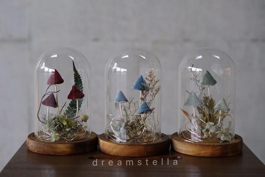 【漫乐集】创意蘑菇永生花 商品图1