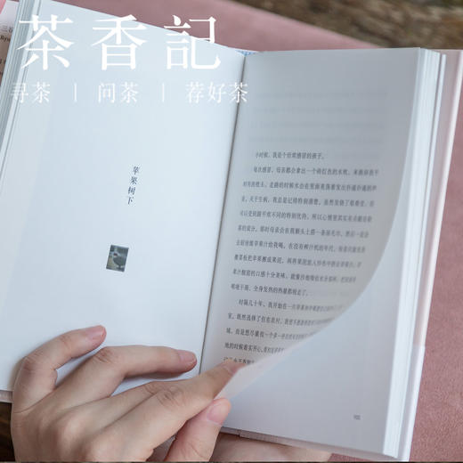 茶香记《我的生活散步》 三谷龙二 生活工艺大师 画文集 艺术生活 中国美术学院出版社 商品图4