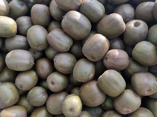 品质四川都江堰红心猕猴桃  每组15个 约3斤包邮 商品图2