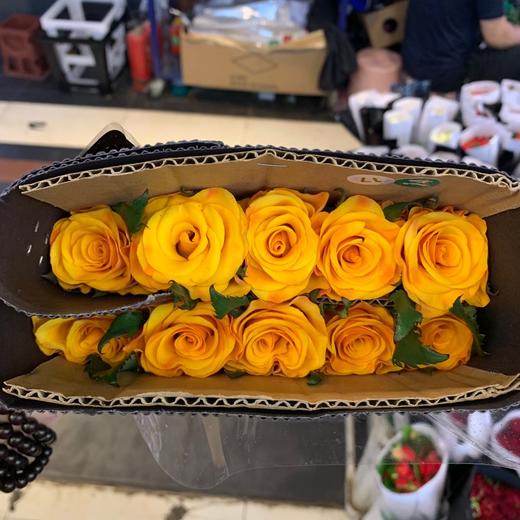 昆明发货逸禾新品玫瑰辉煌1820枝长度70cm