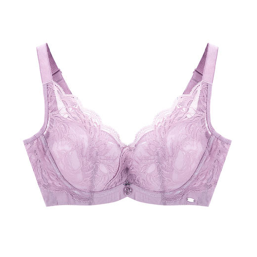 皇家丽美调整型聚拢厚内衣记忆钛圈性感蕾丝美背小胸显大文胸WJ027-3 商品图2