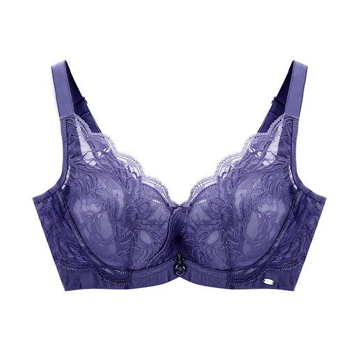 皇家丽美调整型聚拢厚内衣记忆钛圈性感蕾丝美背小胸显大文胸WJ027-3 商品图1