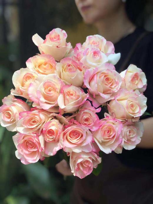 方德玫瑰 霓裳 10支装 超长花期 质量保证 60-70cm左右