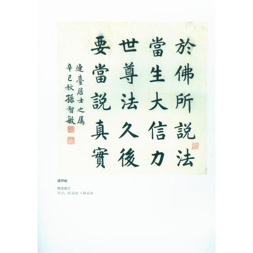 清宰相状元翰林书画选集 国画 美术作品集 收藏欣赏 西泠印社出版社 商品图2