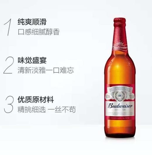 百威啤酒460ml 商品图0