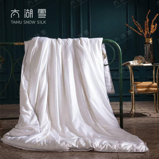 太湖雪120S匹马棉春茧被 商品图0